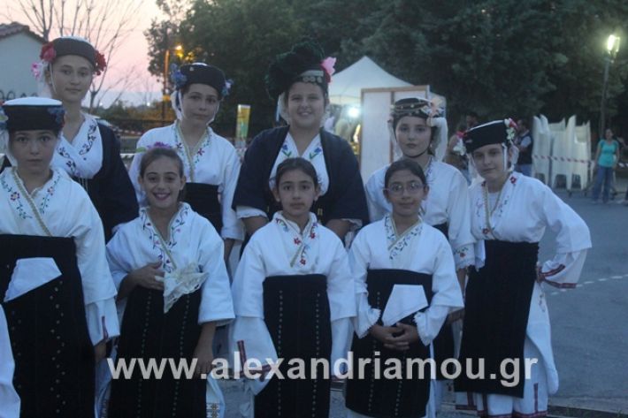 alexandriamou.gr_5komninapaidikofestval2019018