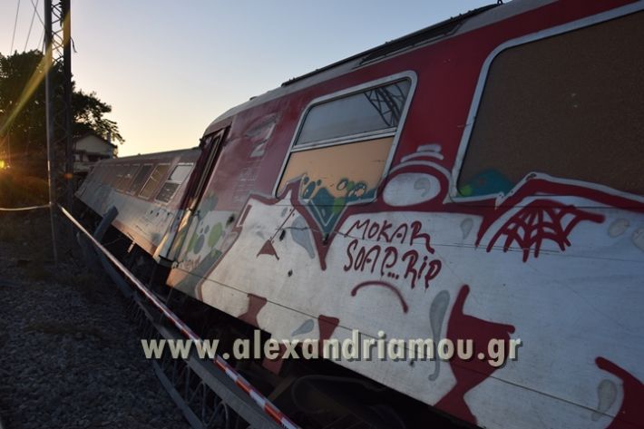 alexandriamou_treno_adentro2052