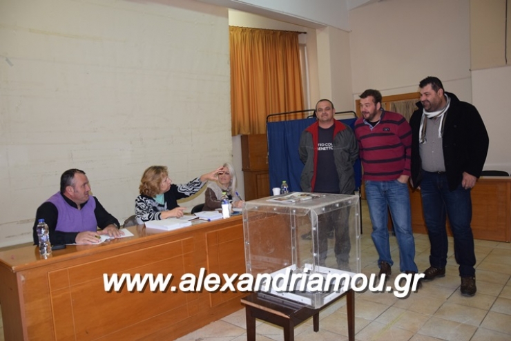 Σε εξέλιξη οι εκλογές στον Αγροτικό Σύλλογο Γεωργών Δήμου Αλεξάνδρειας