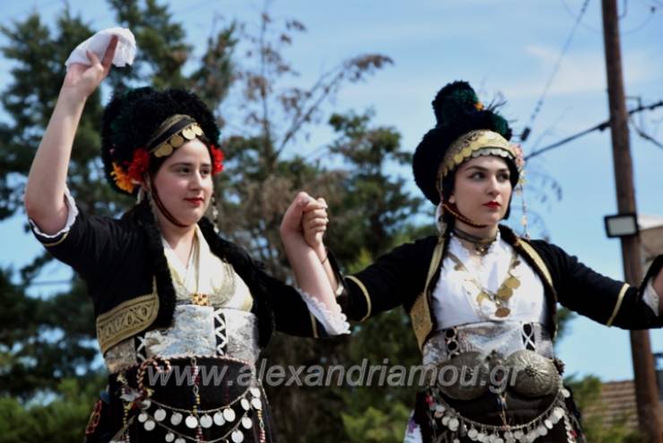 Παραδοσιακοί χοροί στα πλαίσια του Μελικιώτικου Καρναβαλιού(Φωτορεπορτάζ-βίντεο)