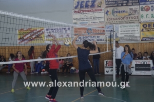 1ο &amp; 2ο Λύκειο Αλεξάνδρειας:Πανελλήνια Ημέρα Σχολικού Αθλητισμού