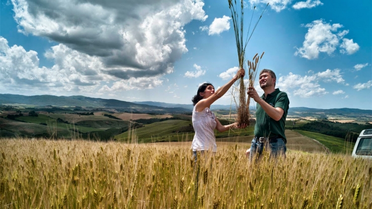 «Εκκίνηση Επιχείρησης από Νέους Γεωργούς» του Προγράμματος Αγροτικής Ανάπτυξης (ΠΑΑ) της Ελλάδας 2014 - 2020