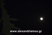 alexandriamou_15augostos_panagia0096