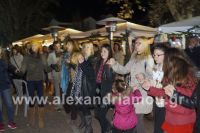 alexandriamou_trikala_anamma13