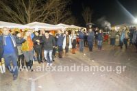 alexandriamou_trikala_anamma14