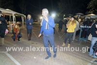 alexandriamou_trikala_anamma33