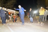 alexandriamou_trikala_anamma34