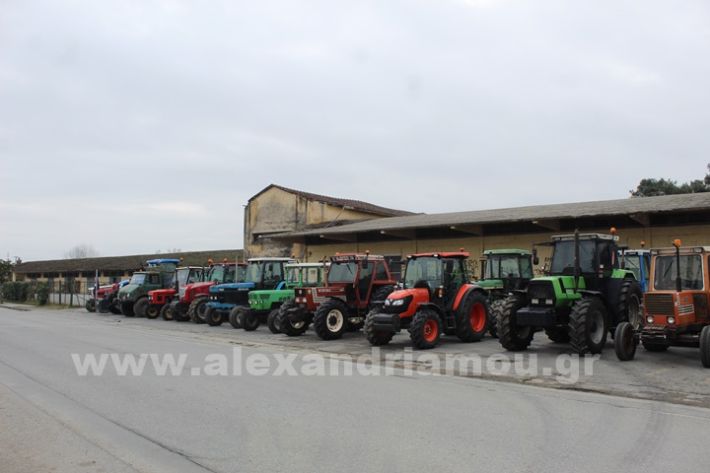 www.alexandriamou.gr_agrotikos_sillogosIMG_3580