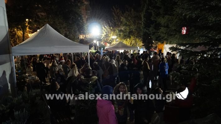 www.alexandriamou.gr_anamadentro2024_DSC9479