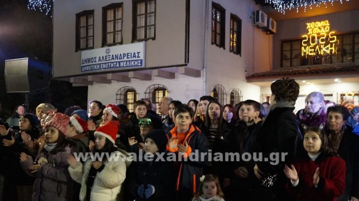 www.alexandriamou.gr_meliki_dentro24_DSC9704