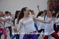 alexandriamou_armonia20160002