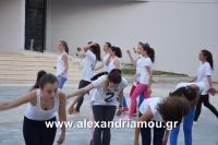 alexandriamou_armonia20160016