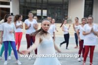 alexandriamou_armonia20160026