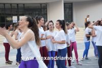 alexandriamou_armonia20160035