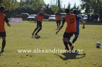 alexandriamou_asteras090032