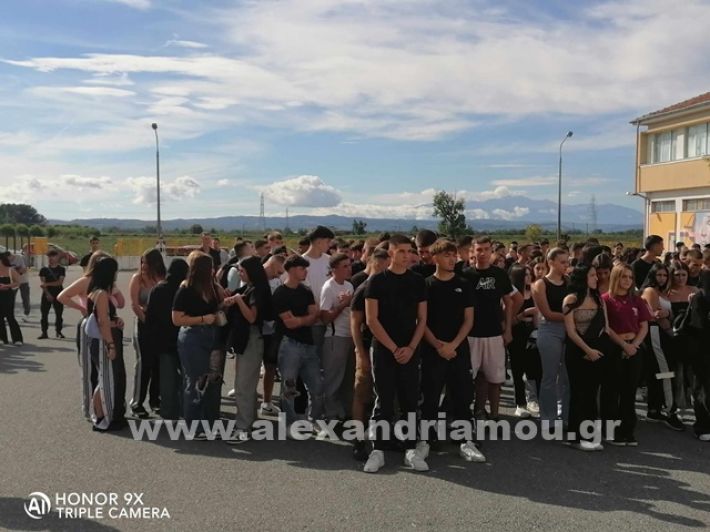 www.alexandriamou.gr_epal_agi2420