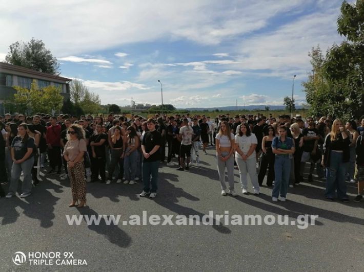 www.alexandriamou.gr_epal_agi2429