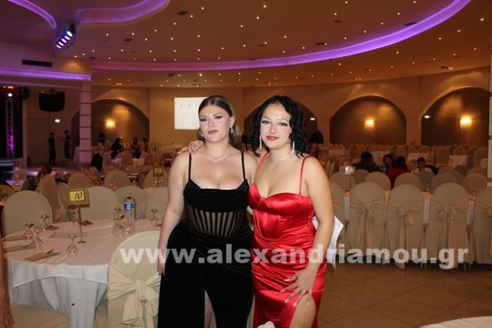 www.alexandriamou.gr_epal_alex.grIMG_0561