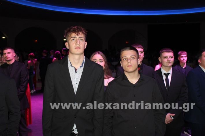 www.alexandriamou.gr_epal_alex.grIMG_0656