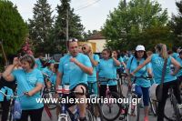 alexandriamou_estia_stavros20160012