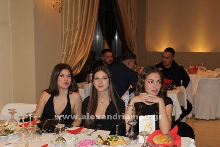 www.alexandriamou.gr_1lukeio_xoros24IMG_0345