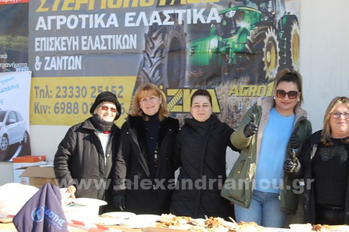 www.alexandriamou.gr_gourounoxara_kefaloxori_19.1IMG_3336