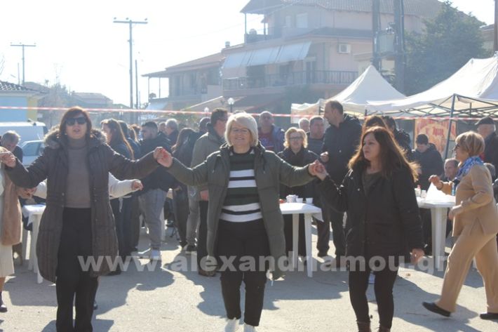 www.alexandriamou.gr_gourounoxara_kefaloxori_19.1IMG_3374