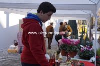 alexandriamou_2gumnasio0135