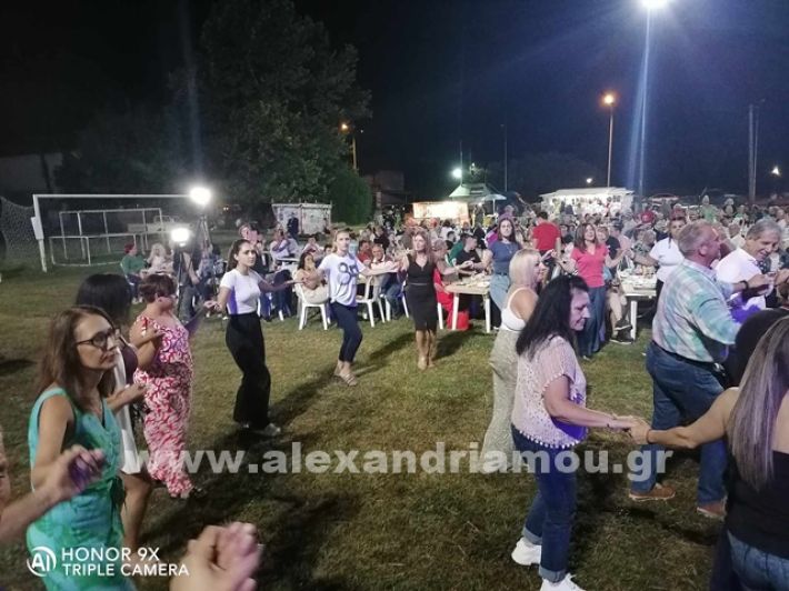 www.alexandriamou.gr_kampoxori20245