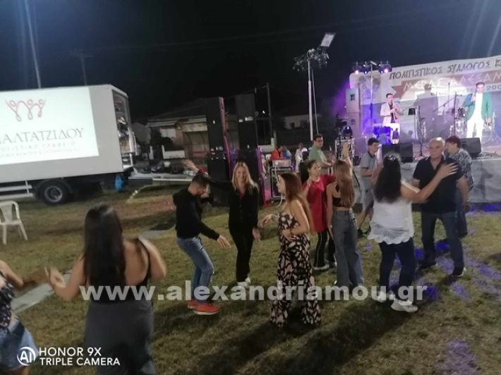 www.alexandriamou.gr_kampoxori20249