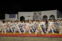 alexandriamou_karate_papadopoulos051