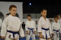 alexandriamou_karate_papadopoulos082