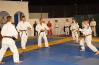 alexandriamou_karate_papadopoulos108