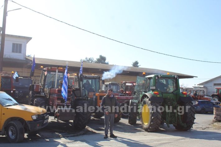 www.alexandriamou.gr_mploka_agrotes_31.1IMG_4105