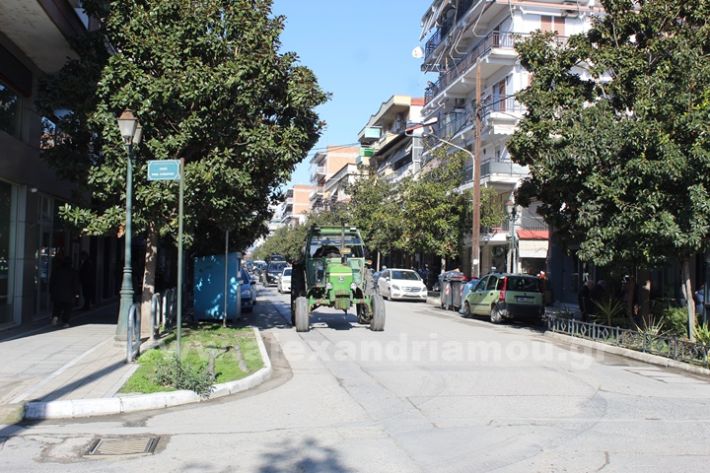 www.alexandriamou.gr_mploka_agrotes_31.1IMG_4189