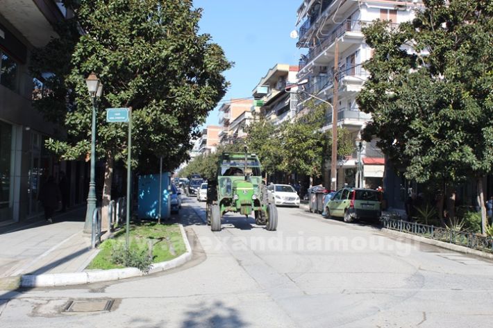 www.alexandriamou.gr_mploka_agrotes_31.1IMG_4190