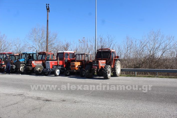 www.alexandriamou.gr_mploka_agrotes_31.1IMG_4204