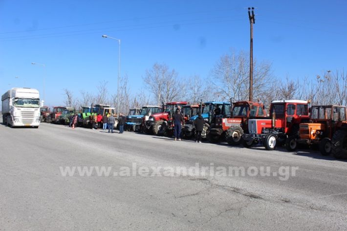 www.alexandriamou.gr_mploka_agrotes_31.1IMG_4205