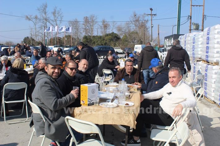 www.alexandriamou.gr_gourounoxara_nalmpantis_19.2IMG_5982