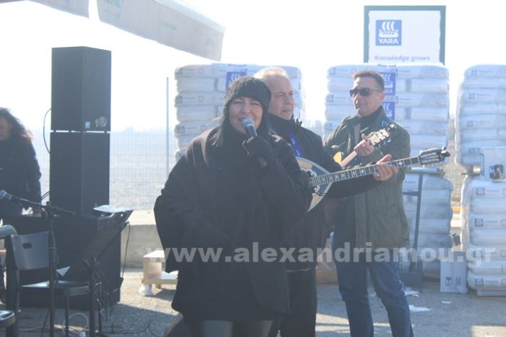 www.alexandriamou.gr_gourounoxara_nalmpantis_19.2IMG_6014