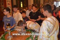 alexandriamou_paisios0027