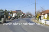 alexandriamou_trakter_alexandreias014