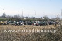 alexandriamou_trakter_alexandreias035