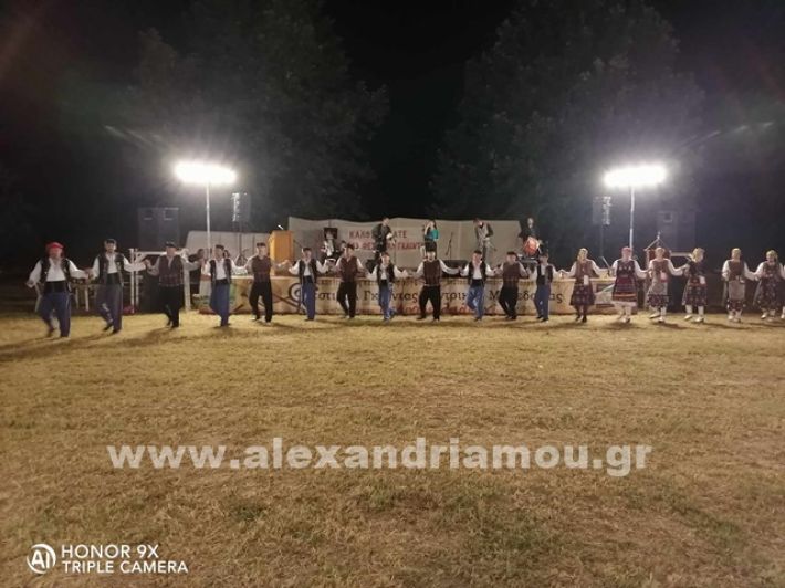 www.alexandriamou.gr_trikala242437