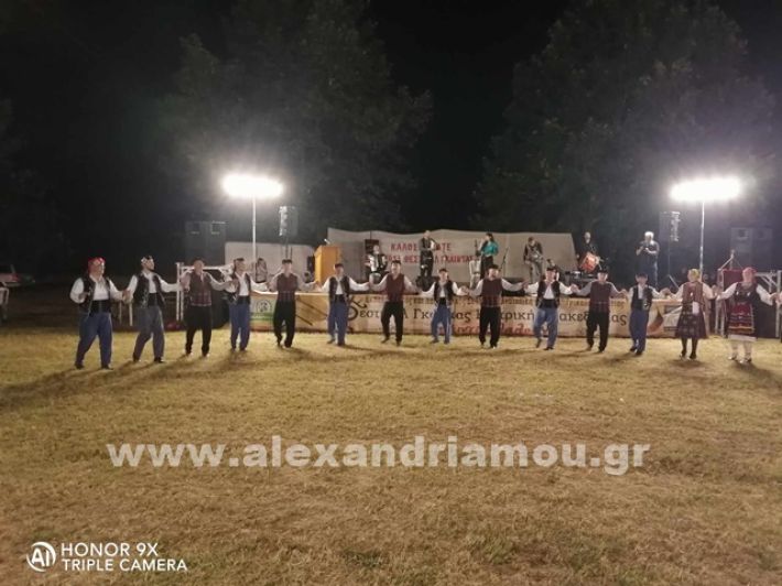 www.alexandriamou.gr_trikala242440