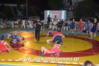 alexandriamou_trikala_pali_hma0036