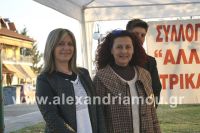 alexandriamou_trikala_pyramida05