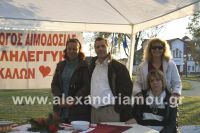 alexandriamou_trikala_pyramida06