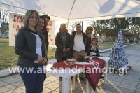 alexandriamou_trikala_pyramida09