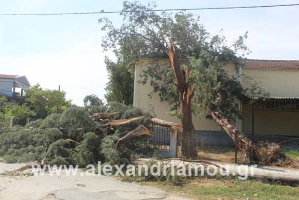 Το δημοτικό σχολείο Νησίου ευχαριστεί θερμά